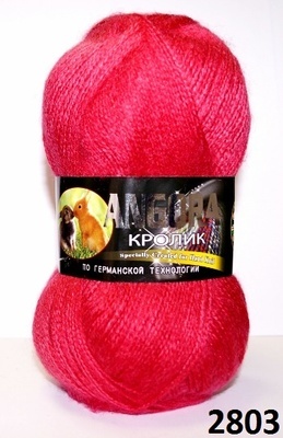 2803 брусника